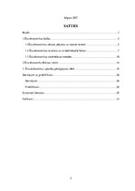 Paraugs 'Ēnu ekonomika pakalpojumu sfērā Latvijā', 2.