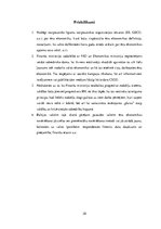 Paraugs 'Ēnu ekonomika pakalpojumu sfērā Latvijā', 28.