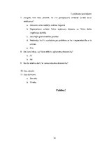 Paraugs 'Ēnu ekonomika pakalpojumu sfērā Latvijā', 34.