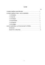 Referāts 'Akciju sabiedrības raksturojums', 2.