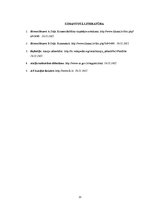 Referāts 'Akciju sabiedrības raksturojums', 13.