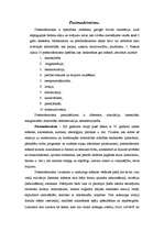 Eseja 'Umberto Eko "Rozes vārds", postmodernisma iezīmes', 1.