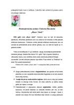 Eseja 'Umberto Eko "Rozes vārds", postmodernisma iezīmes', 2.