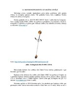 Referāts 'Meža ekspluatācija', 6.