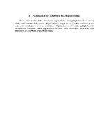 Referāts 'Meža ekspluatācija', 13.