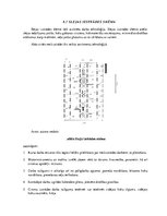 Referāts 'Meža ekspluatācija', 29.