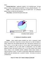 Referāts 'Mārketinga pētījums ', 20.