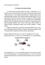 Referāts 'Mārketinga pētījums ', 29.