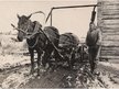 Prezentācija '25.marts fotogalerijā', 13.