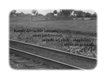 Prezentācija '25.marts fotogalerijā', 38.