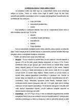 Referāts 'Uzņēmumu darbība ārējā tirgū', 6.