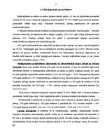 Referāts 'Latvijas rūpniecība Eiropas Savienībā', 11.