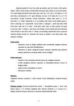 Referāts 'Latvijas un Beļģijas māsu izdegšanas sindroma izpausmju un to ietekmējošo faktor', 4.