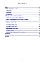 Referāts 'Finanšu riska novērtēšana SIA "ANNA"', 2.