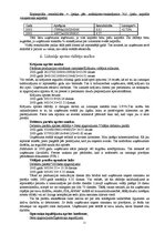 Referāts 'Finanšu riska novērtēšana SIA "ANNA"', 11.