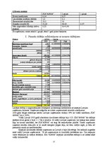 Referāts 'Finanšu riska novērtēšana SIA "ANNA"', 13.