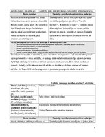 Prakses atskaite 'Agrīnas bērnības prakse', 6.