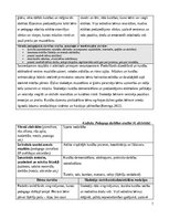 Prakses atskaite 'Agrīnas bērnības prakse', 7.