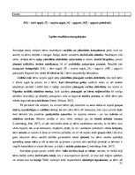 Prakses atskaite 'Agrīnas bērnības prakse', 11.