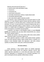 Referāts 'Uzņēmuma personāla vadīšana', 10.