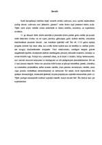 Referāts 'Superdatori', 2.