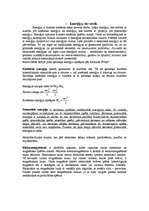 Referāts 'Cilvēka enerģijas izmantošana tehnikā', 5.