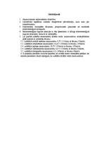 Referāts 'Cilvēka enerģijas izmantošana tehnikā', 14.