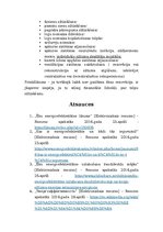 Konspekts 'Ēku energoefektivitātes paaugstināšana', 5.