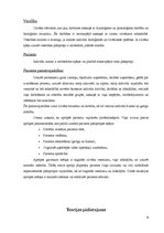 Referāts 'Dorotejas Oremas teorija', 9.