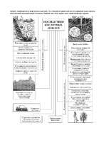 Referāts 'Кислотные дожди', 10.