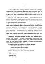 Referāts 'Jēdzienu iedalīšana', 3.