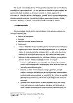 Referāts 'Jēdzienu iedalīšana', 7.