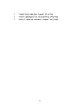 Referāts 'Jēdzienu iedalīšana', 10.