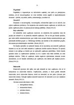 Diplomdarbs 'AS "Diāna" veikalu "Mājai un Dārzam" mārketinga darbības pilnveidošana', 13.