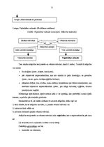 Diplomdarbs 'AS "Diāna" veikalu "Mājai un Dārzam" mārketinga darbības pilnveidošana', 21.