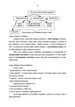 Diplomdarbs 'AS "Diāna" veikalu "Mājai un Dārzam" mārketinga darbības pilnveidošana', 23.