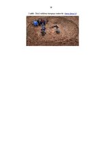 Diplomdarbs 'AS "Diāna" veikalu "Mājai un Dārzam" mārketinga darbības pilnveidošana', 39.