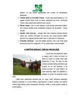 Referāts 'Brīvdienu veids – "Zaļās brīvdienas” un piedāvājums atpūtai laukos Vidzemē', 7.