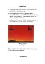 Referāts 'Mākslas novirzieni ', 4.