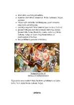 Referāts 'Mākslas novirzieni ', 7.