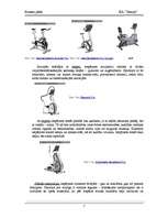 Biznesa plāns 'SIA "Beauty" uzņēmējdarbības uzsākšanas biznesa plāns', 7.