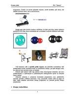 Biznesa plāns 'SIA "Beauty" uzņēmējdarbības uzsākšanas biznesa plāns', 8.