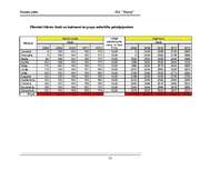 Biznesa plāns 'SIA "Beauty" uzņēmējdarbības uzsākšanas biznesa plāns', 13.