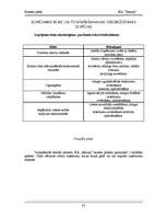 Biznesa plāns 'SIA "Beauty" uzņēmējdarbības uzsākšanas biznesa plāns', 22.