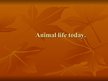 Prezentācija 'Animal Life Today', 1.