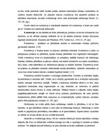 Referāts 'E-mārketinga loma tūrisma nozarē un attīstības tendences Latvijā', 6.