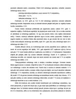 Referāts 'E-mārketinga loma tūrisma nozarē un attīstības tendences Latvijā', 20.