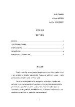 Konspekts 'Ģeodēziskie darbi tuneļu būvniecībā', 2.