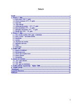 Referāts 'Grafiti', 2.