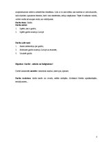 Referāts 'Grafiti', 4.